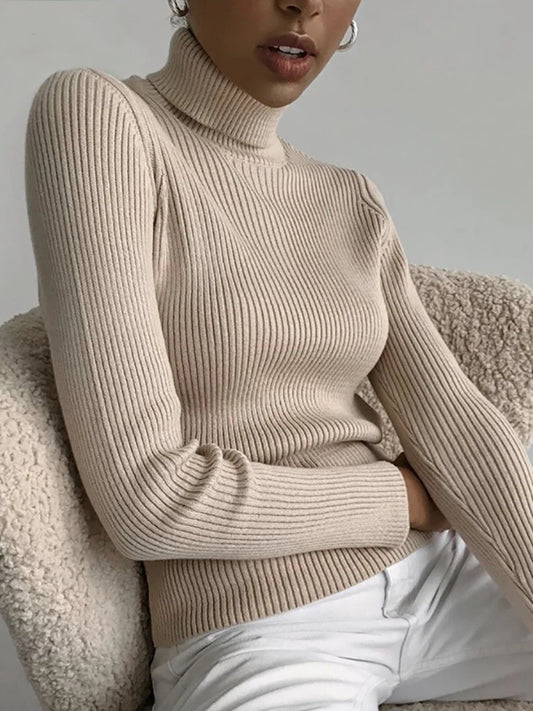 Women Long Turtleneck Sweater